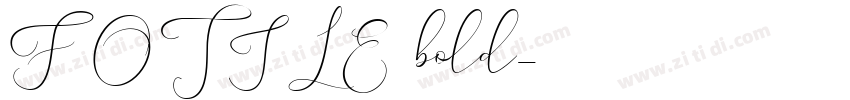 FOTILE3 bold字体转换